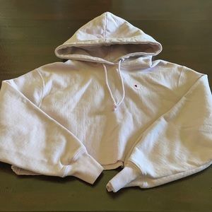 Champion Reverse Weave Cropped Hoodie